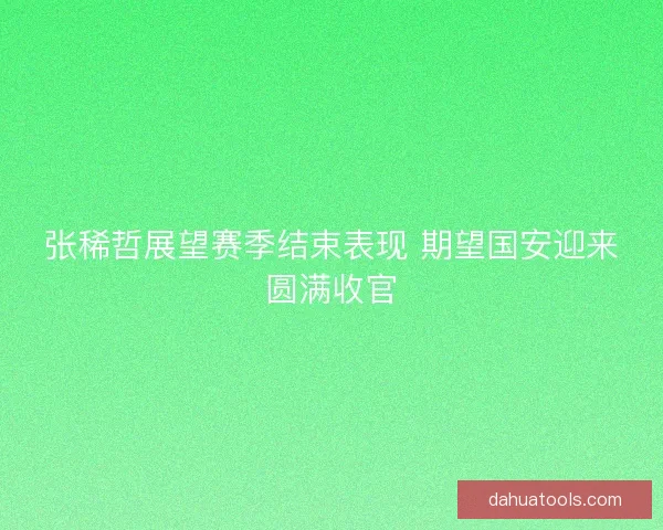 张稀哲展望赛季结束表现 期望国安迎来圆满收官